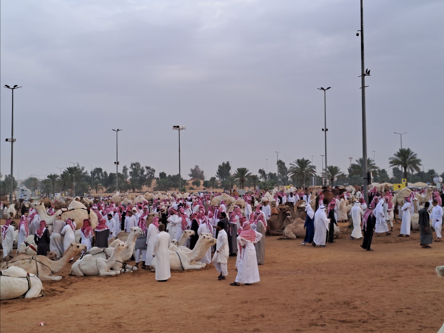 saudi 6