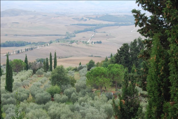 Toscany 6